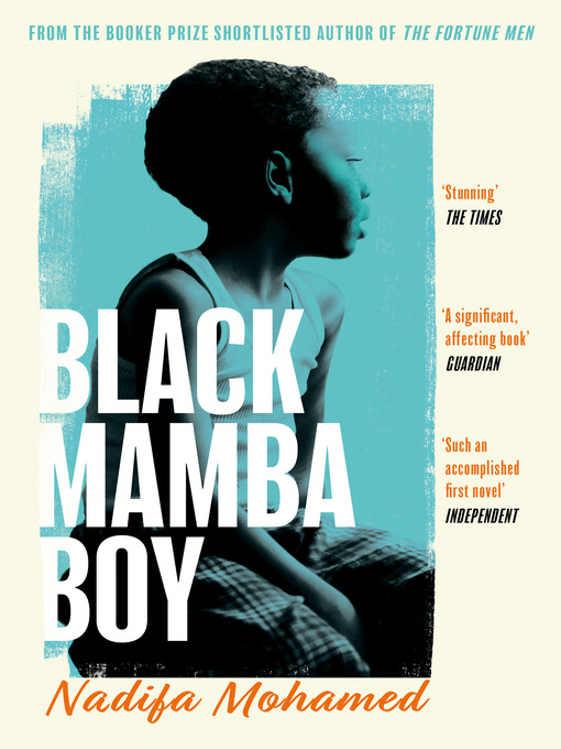 Black Mamba Boy (eBook)